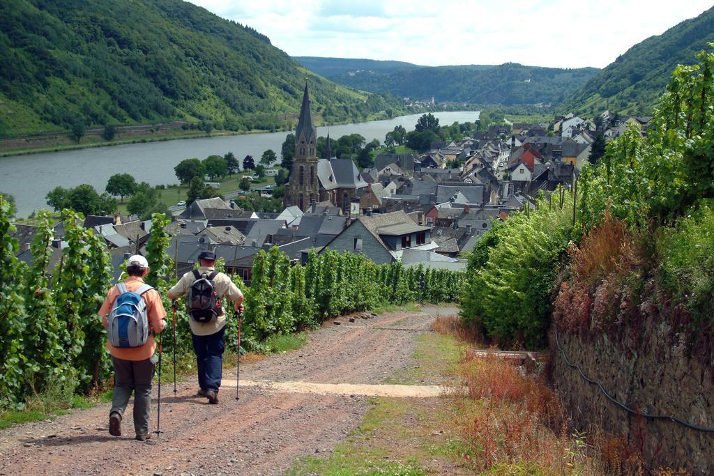 Wein- Und Gaestehaus St. Aldegundishof Санкт-Альдегунд Экстерьер фото