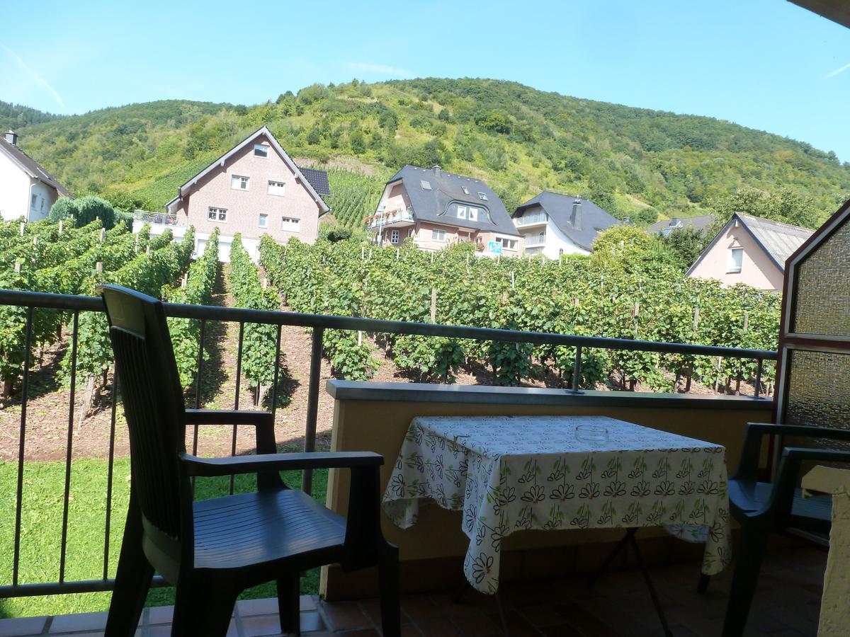 Wein- Und Gaestehaus St. Aldegundishof Санкт-Альдегунд Экстерьер фото